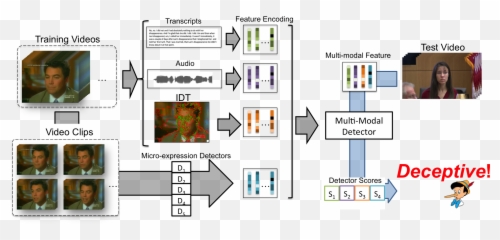 Deception Detection In Videos - Vertical Emoji,Micro Emotions Test