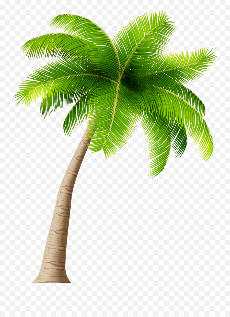 Free Palm Tree Cartoon Png Download - Transparent Background Coconut Tree Clipart Emoji,Palm Tree Emoji