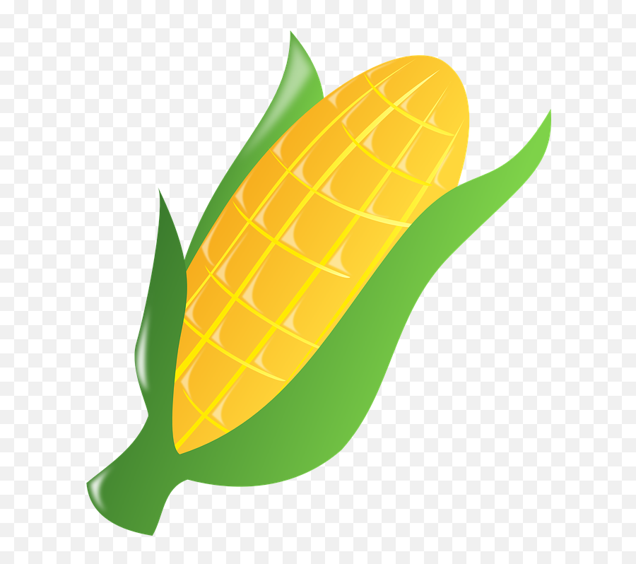 Rice Clipart Wheat Sheaf Rice Wheat - Animated Transparent Corn Png Emoji,Ear Of Rice Emoji