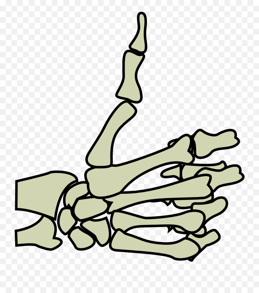 You Need To Login To View This Link Hopefully This - Png Transparent Background Skeleton Thumbs Up Png Emoji,Thumbs Down Emoji No Background