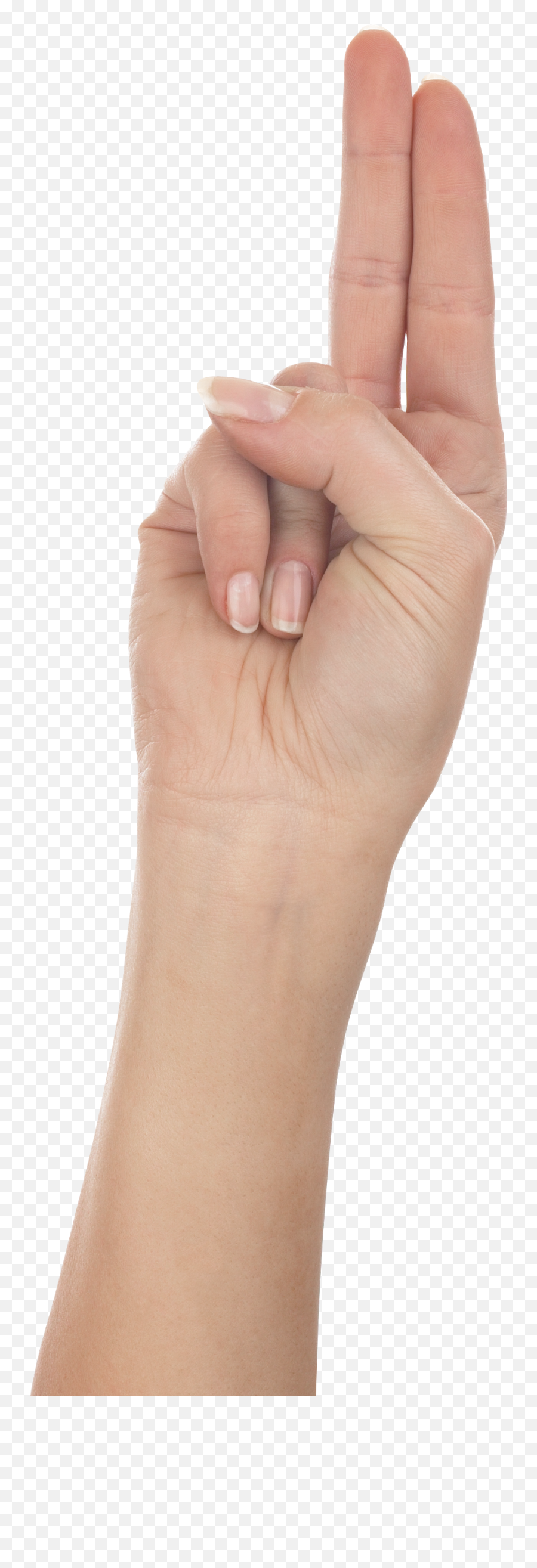 This Png File Is About Hands Two Finger Hand Multi - Sign Language Emoji,Two Finger Emojis And Meanings