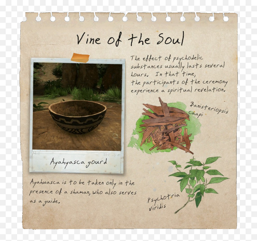 Vine Of Soul Notebook Page - Official Green Hell Wiki Soil Emoji,Vine Emotion Guide