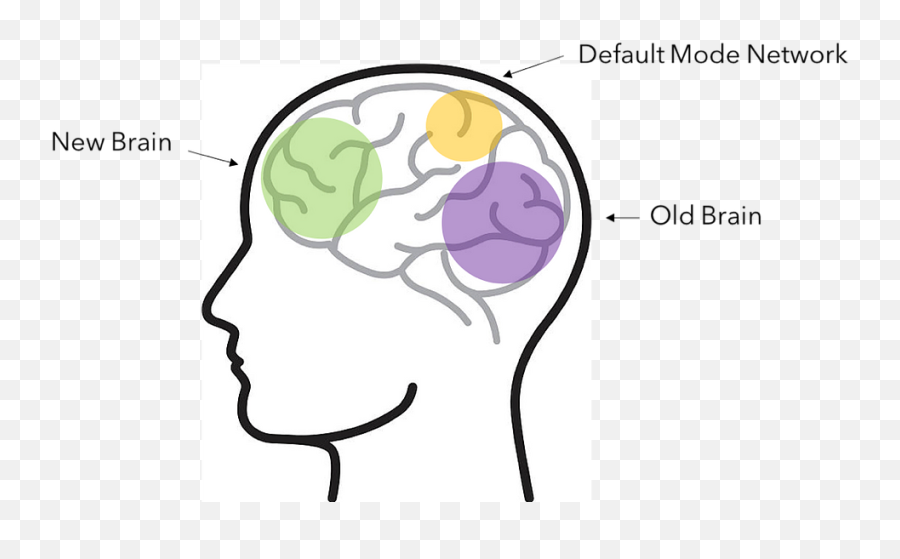 A Guide To Managing - Whats On My Mind Emoji,When Emotion And Reason Collide Images