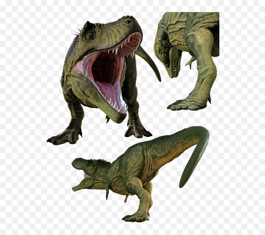 Free Photo Jurassic Paleontology - T Rex Birthday Invitations Png Emoji,Emotion Eater Monster