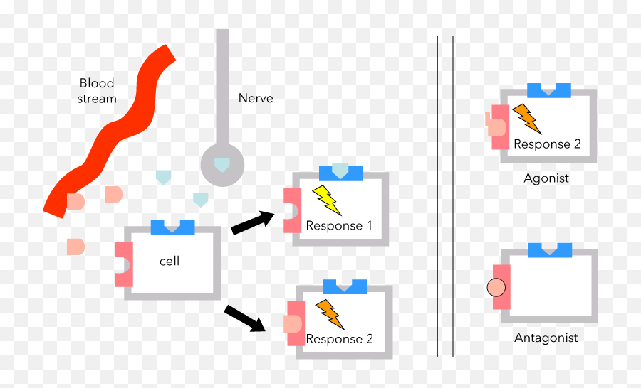 Basics Of Chemistry General Organic And Biological - Vertical Emoji,Emotions And Chemistry Of Hormones