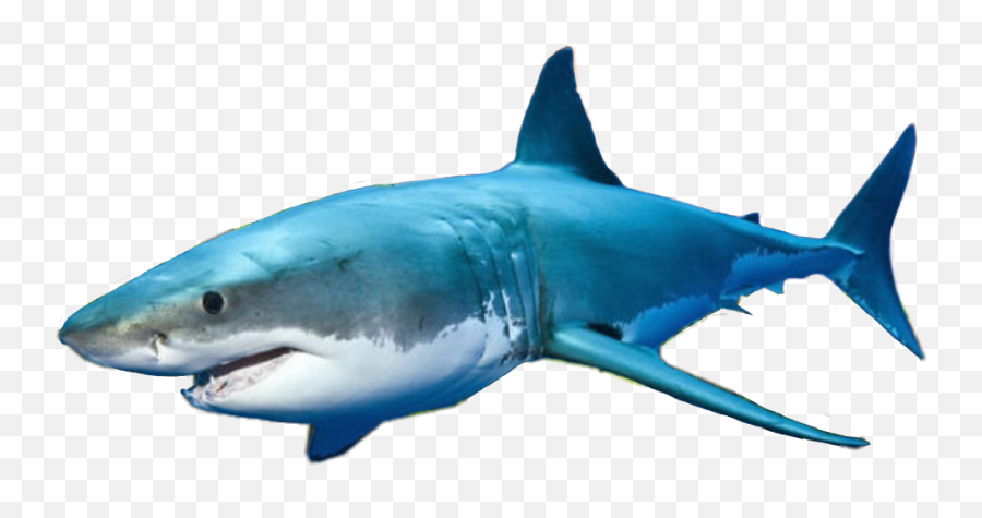 Shark Clipart - Sharks Emoji,Shark Emoji Facebook