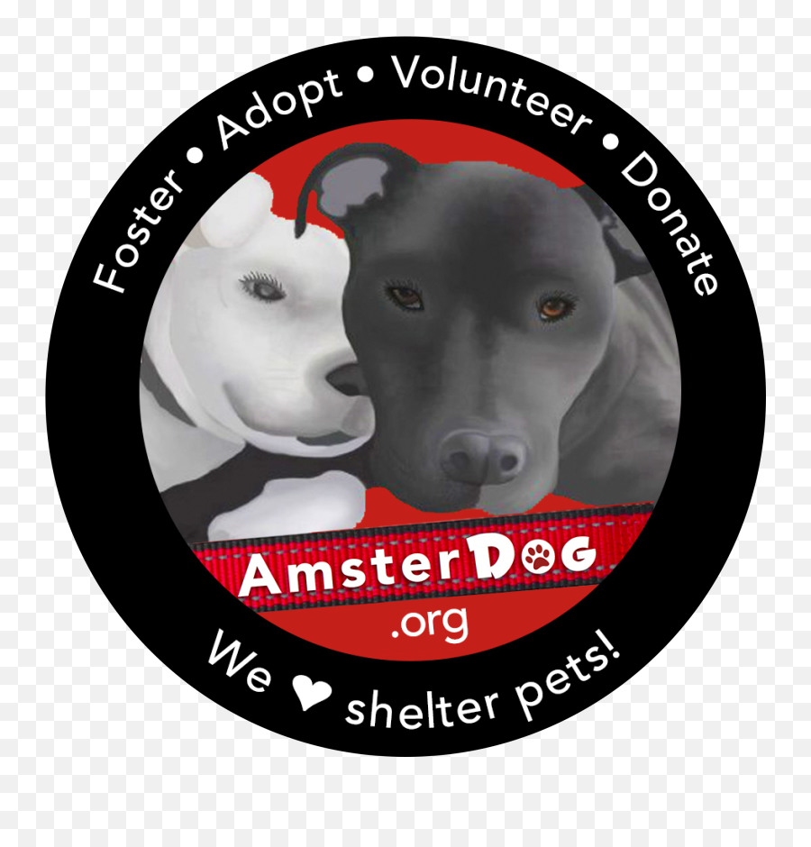 Former Bait Dog Slade Needs Your Help U2014 Amsterdog Emoji,Dog Emotions In Shelters