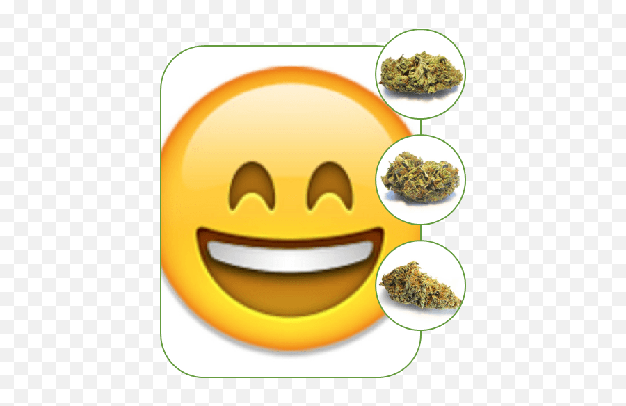 How To Choose The Right Cannabis Strain For You - Happy Emoji,Pot Leaf Emoticon
