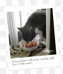 Youre - Cat Food Emoji,Hey Diddle Diddle In Emojis