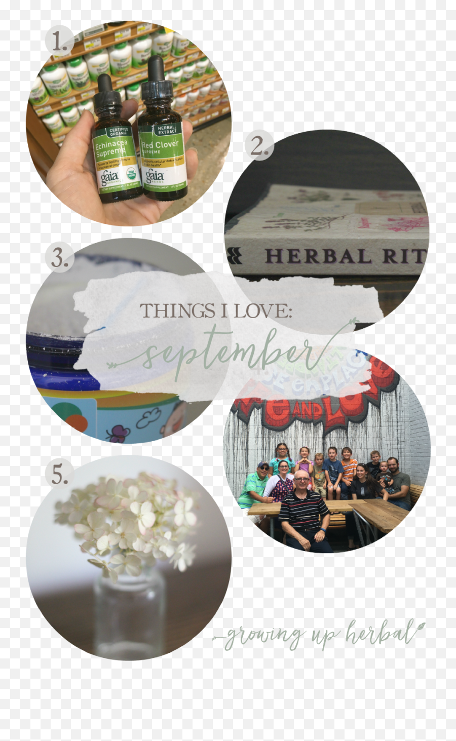 Things I Love September 2016 Growing Up Herbal - For Party Emoji,Emotions And Essential Oils 2016