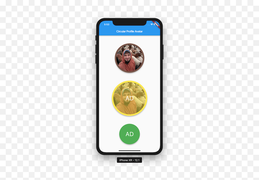 24 Best Flutter Images Packages To Ease - Circle Avatar Flutter Ontap Emoji,Flutter Iphone Import Iphone Emojis
