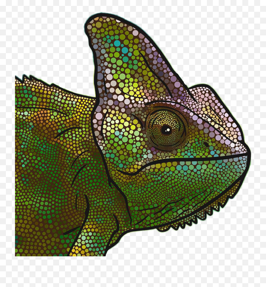 Picsart - Xbox One Lizard Profile Emoji,Cameleon Emoji