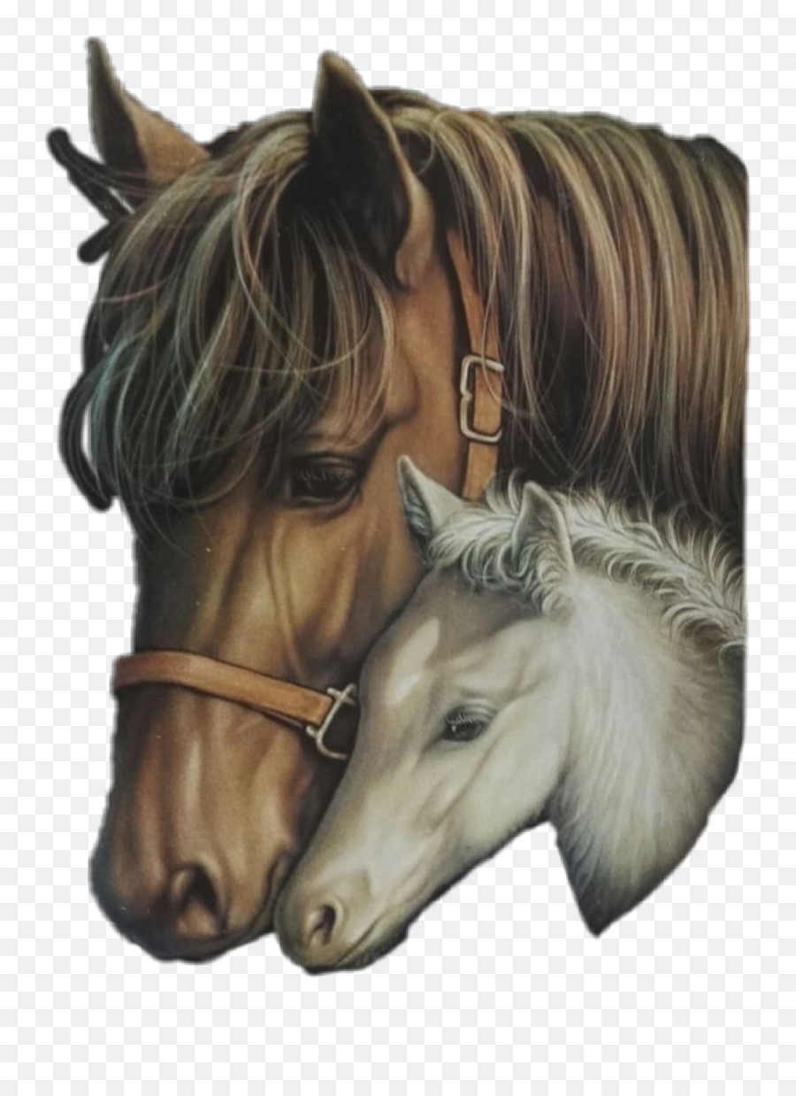 Cabezas Caballos De Sticker - Horse Supplies Emoji,Emojis De Caballos