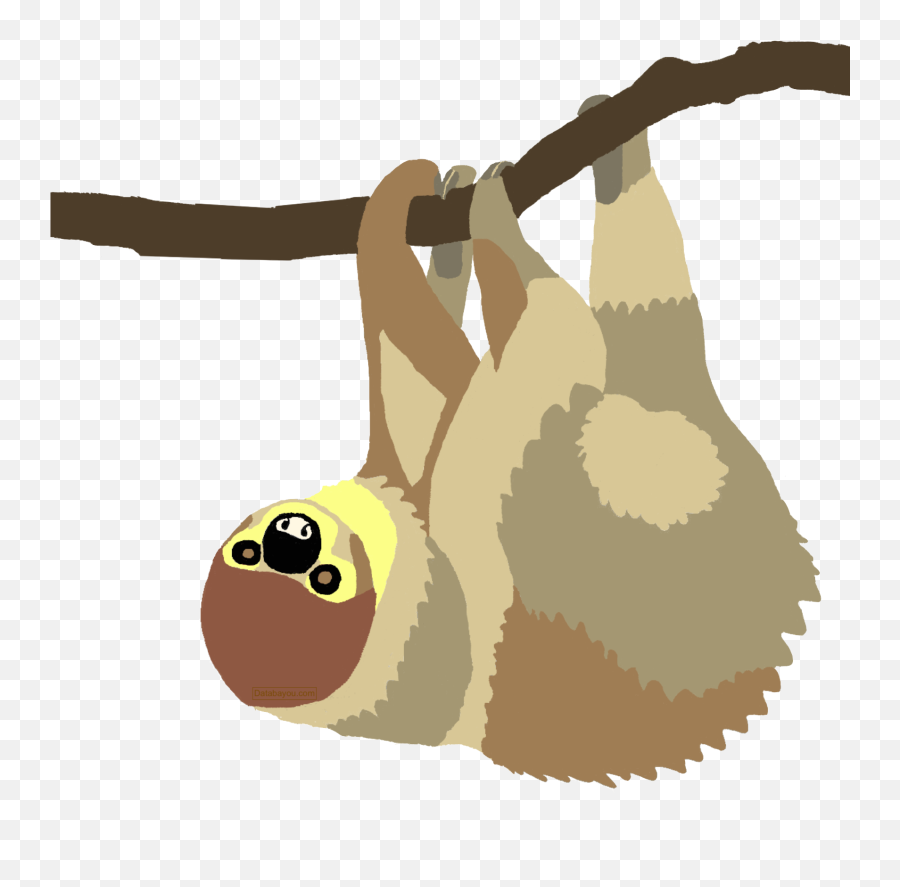 Sloth Species Distribution Map - Pygmy Sloth Emoji,Sloth Emoticon Facebook