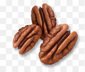 Pecan Pie - Pecan Transparent Emoji,Emoticon Pican Pie