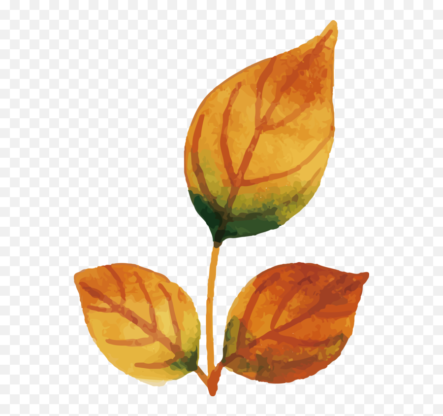 Thanksgiving Leaf Watercolor Painting Jpeg For Fall Leaves Emoji,Painter Emoji