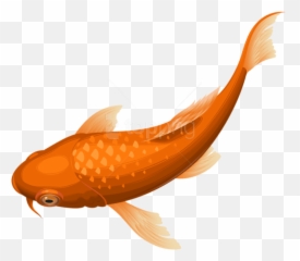 Download Hd Free Png Download Orange Koi Fish Transparent - Koi Fish Transparent Background Emoji,Free Fish Emoji
