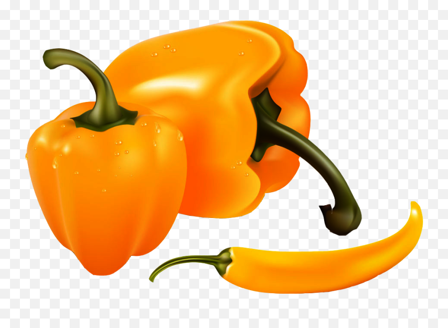 Bell Banana Clip Art Persimmon Vector - Transparent Scotch Bonnet Pepper Png Emoji,Chili Pepper Emoji