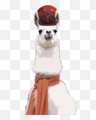 Stylesheet - Llama Emoji,Pjsalt Emoticon