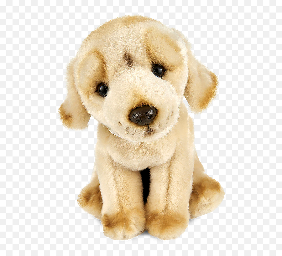 Giant Golden Labrador Puppy - Soft Emoji,Send Your Friends Cute Cream Labrador Retriver Emojis