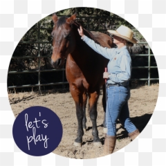 Horseplay - Ziksana Consulting Emoji,Horse Facial Emotions