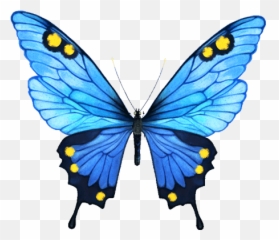 Free Blue Butterfly Png Download Free Blue Butterfly Png Emoji,2 Blue Butterfly Emojis