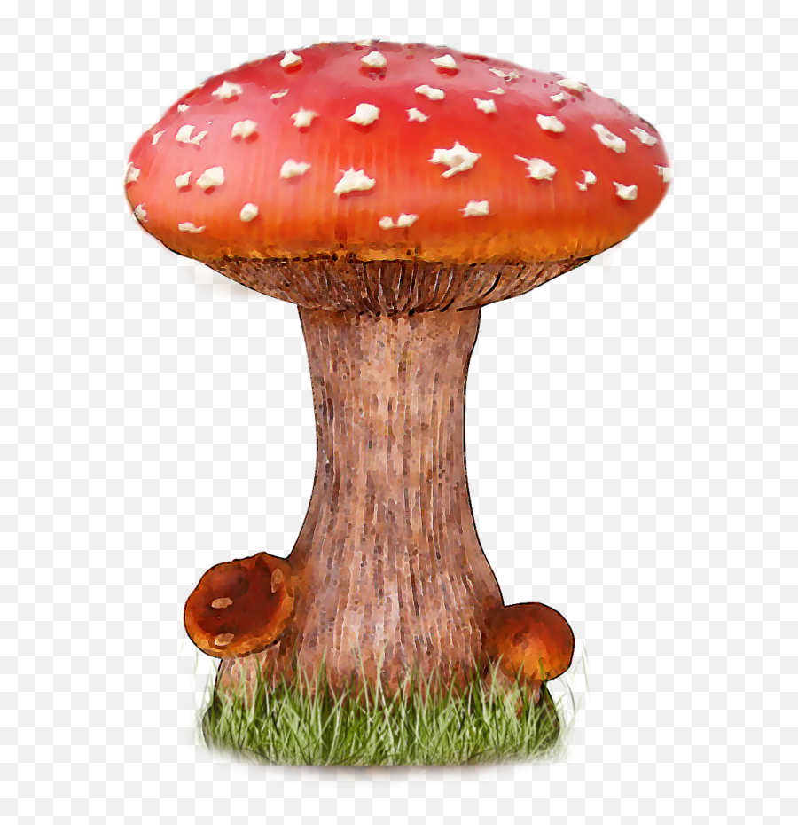 Free Transparent Mushroom Png Download - Mushroom Transparent Emoji,Skull Mushroom Emoji