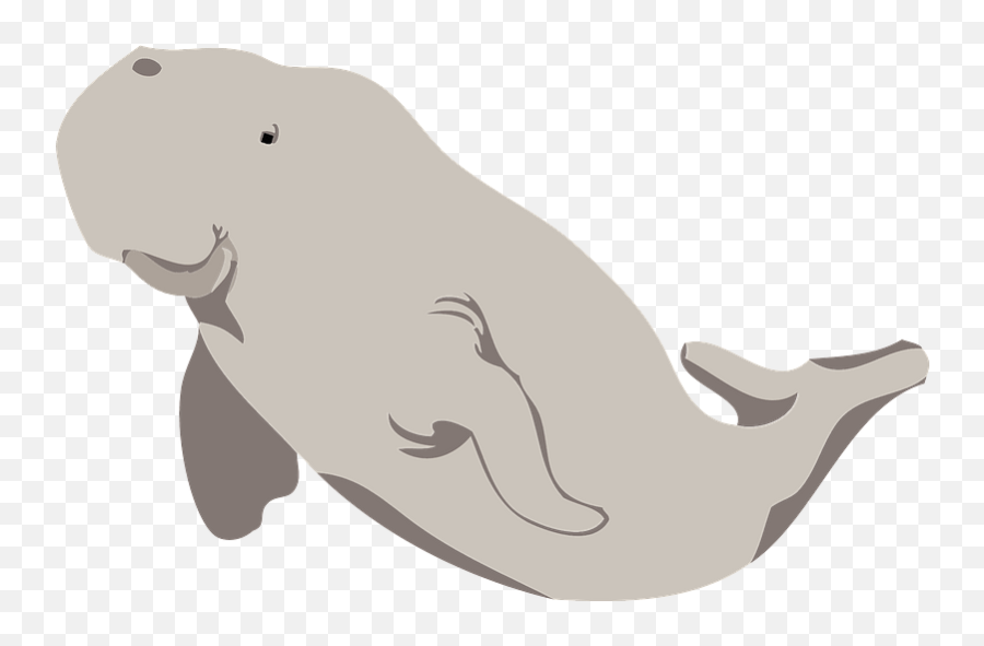 Beluga Whale Clipart Free Download Transparent Png Creazilla - Big Emoji,Spouting Whale Emoji