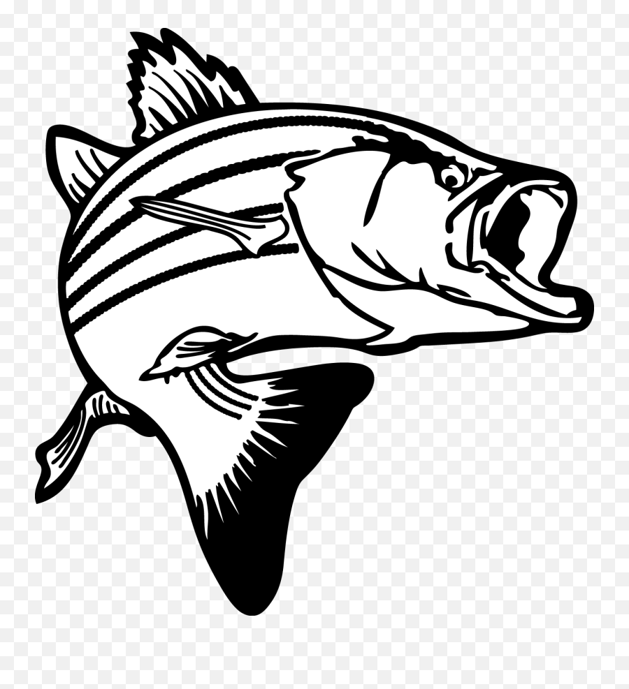 Bass Fish Coloring Pages Fish Bass Png - Bass Fish Clipart Emoji,Emoji Level 31 Fish Moon