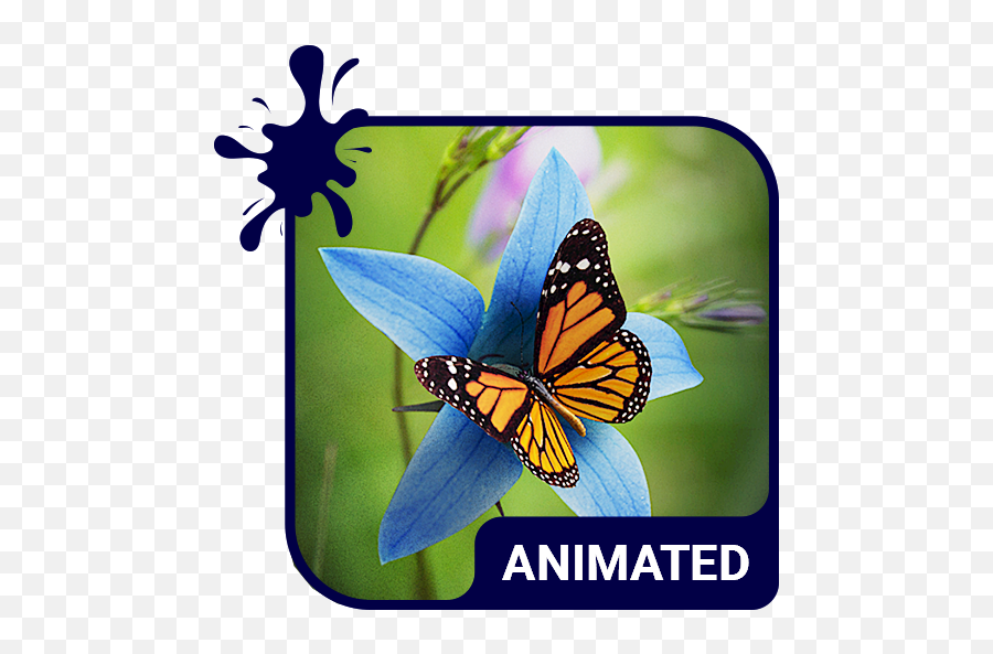 Butterfly Animated Keyboard Live - Phoenix Icon Animated Emoji,Butterfly Emoticons