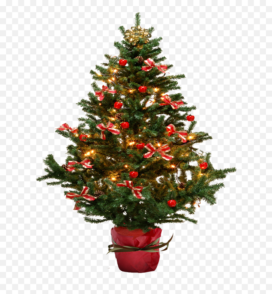 Textura Brad De Craciun - Christmas Tree Small Png Hd Emoji,Emoticon De Craciun