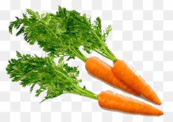 Search For - Dlpngcom Transparent Background Carrot Png Emoji,Mailbird Emojis