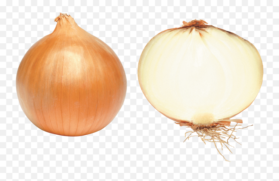 Onion Clipart Half Onion Onion Half - Onion Top Png Emoji,Onions Emoji