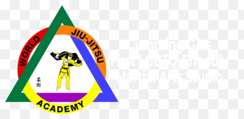 Kids Martial Arts - World Jiujitsu Academy Language Emoji,Dealing With The Mixed Emotions Of Growing Children