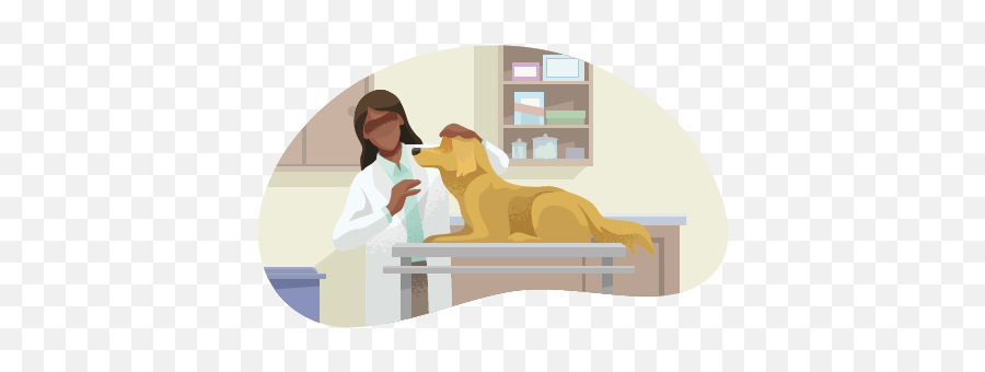 Animal Hospital U0026 Veterinarian Business Insurance Quotes - Veterinarian Emoji,Animal Emotions Quotes