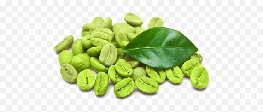 Caffeine Pills - Green Coffee Beans Vector Emoji,Emoticons 