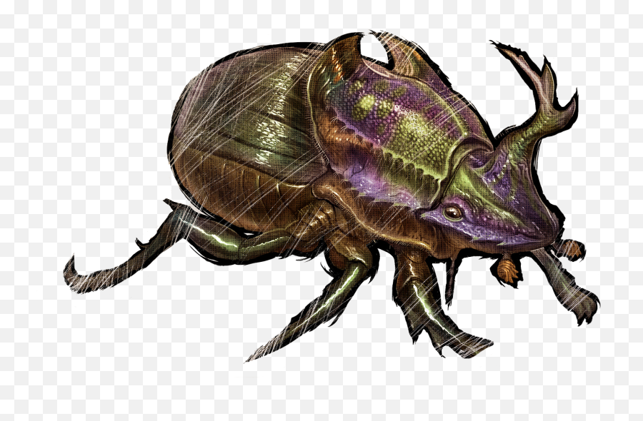 Dung Beetle - Ark Forum Atlas Forum Deutsches Forum Für Ark Dung Beetle Dossier Emoji,Dacher Keltner Emojis