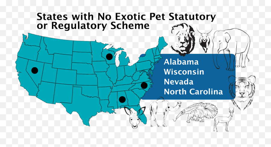 Legalities - Beastiality Laws Emoji,Levels Of Emotion In Zoo Animals