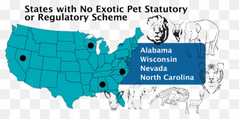 Legalities - Beastiality Laws Emoji,Levels Of Emotion In Zoo Animals