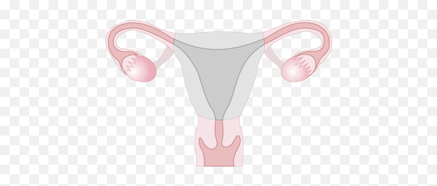 Hysterectomy - For Women Emoji,After A Hysterectomy Will My Emotions Be Goofy