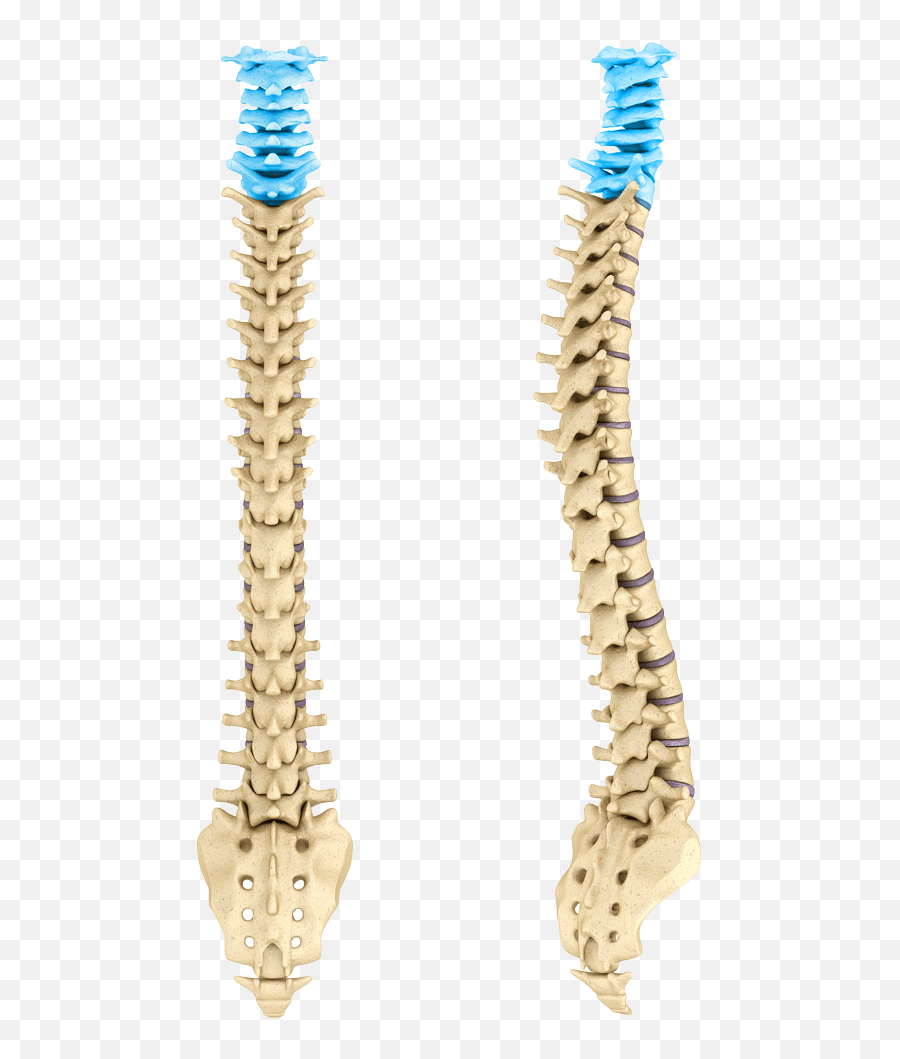 Frank E - Detailed Spine Emoji,Emotion Trap In The Spine