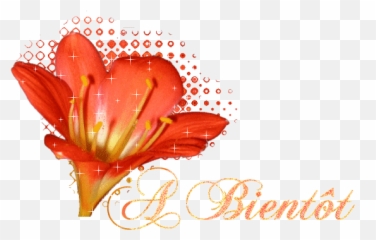 French Text Graphic Animated Gif - Graphics French Text 416624 Emoji,French Face Emoticon