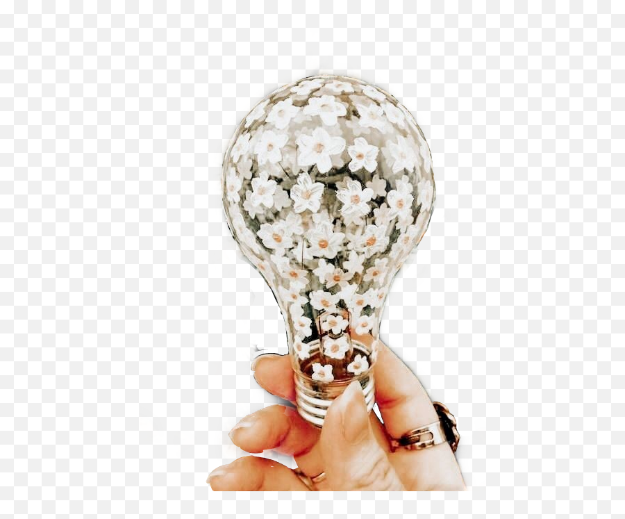 The Most Edited Daisyflower Picsart - Incandescent Light Bulb Emoji,Sun Bulb Hand Emoji