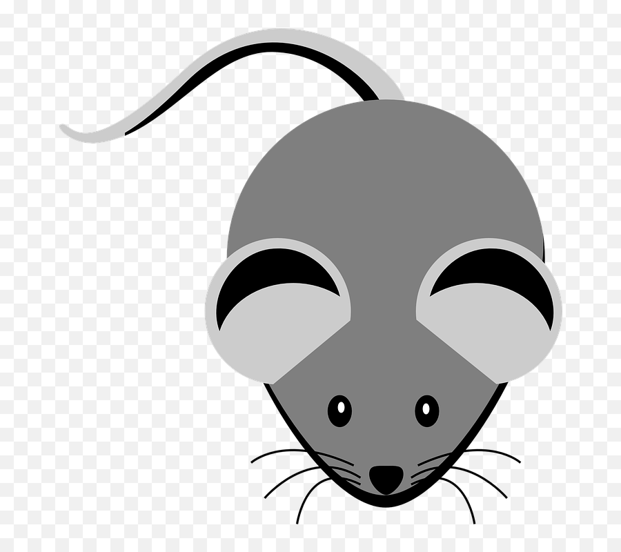 Mouse Animal Eyes Ears Tail Cute Nose - Grey Clip Art Emoji,How To Draw A Cartoon Animal Eye Emotion