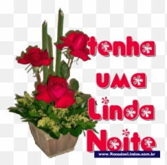 Belos Gifs De Boa Noite Para Whatsapp - Gifs E Imagens Animadas Gifs De Imagens De Boa Noite Emoji,Imagens Com Os Emoticons Do Whatsapp