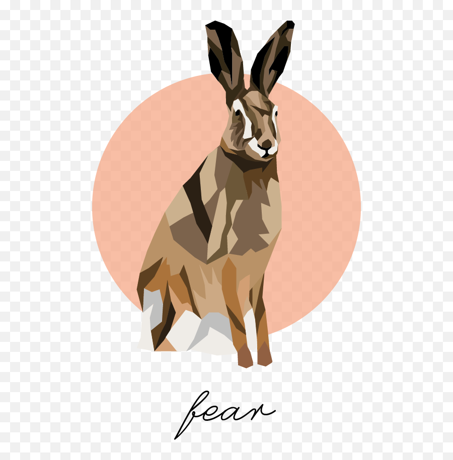 Animals Illustrations On Behance - Pack Animal Emoji,Jaap Animal Emotion