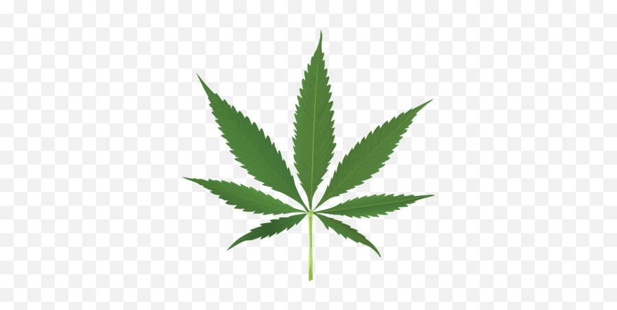 Thug Life Weed Leaf Png Hd Transparent Background Image - Transparent Background Weed Transparent Emoji,Weed Like Emojis