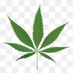 Thug Life Weed Leaf Png Hd Transparent Background Image - Transparent Background Weed Transparent Emoji,Weed Like Emojis