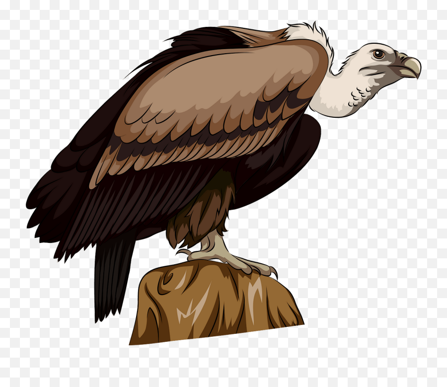 Vulture Clipart Emoji,Vulture Emoticon