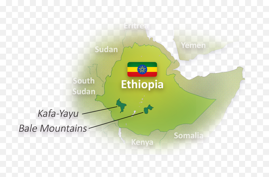 Ethiopia Emoji,Type Emoticons Gachi